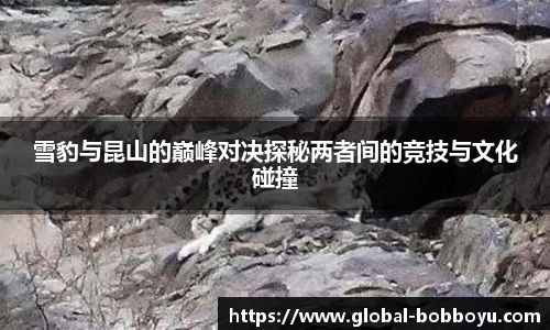 雪豹与昆山的巅峰对决探秘两者间的竞技与文化碰撞